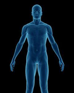 THE EFFECT OF WATER ON THE HUMAN BODY